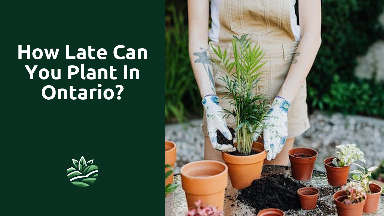 How late can you plant in Ontario?