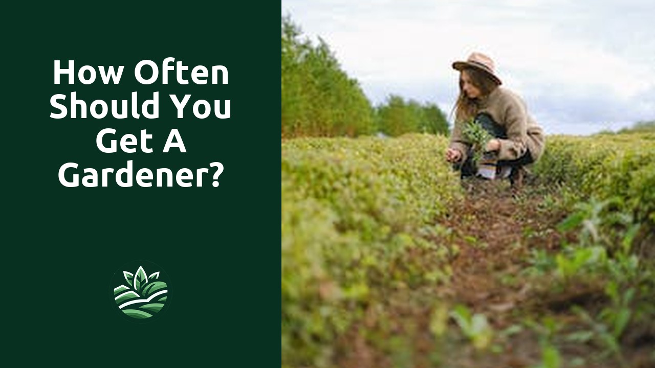 How often should you get a gardener?
