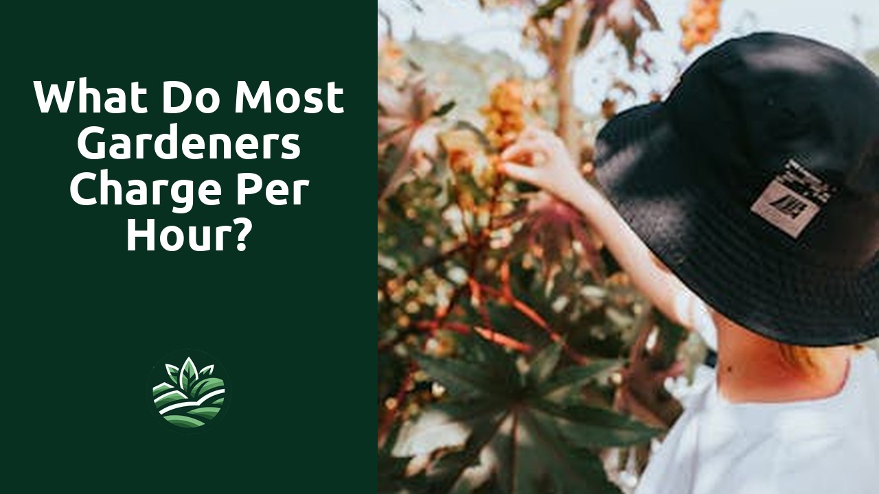 What do most gardeners charge per hour?