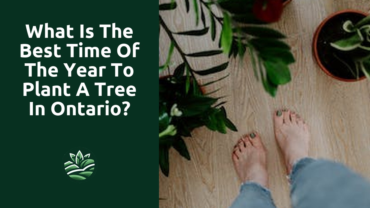 What is the best time of the year to plant a tree in Ontario?